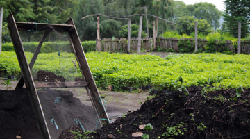 Behind the Beans: Itende JKT PB from Tanzania